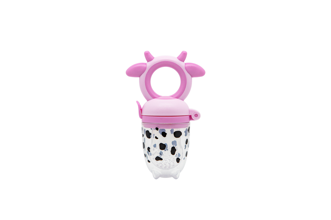Fruit and Vegetable Pacifier Feeder, Extra Soft and Firm Teat, BPA-free, 2 Count